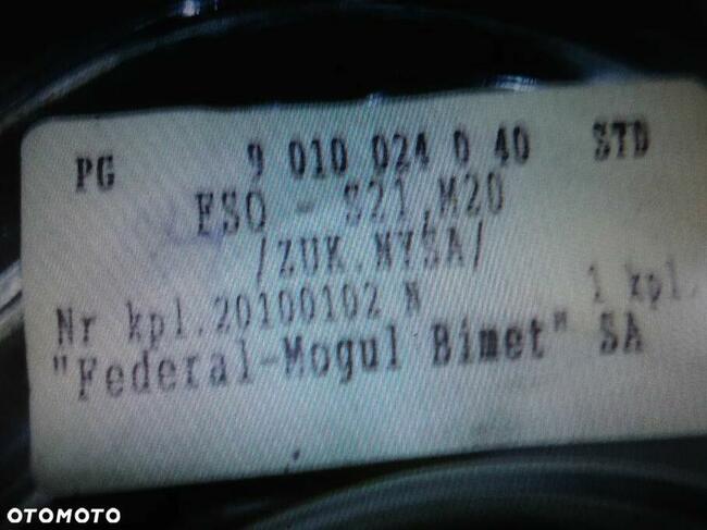 NOWE PANEWKI GŁÓWNE ŻUK NYSA WARSZAWA-nominał