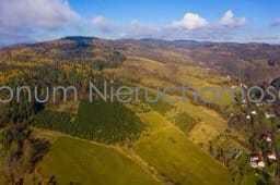 Na sprzedaż działka budowlana z lasem Wilcza