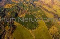 Na sprzedaż działka budowlana z lasem Wilcza