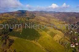 Na sprzedaż 13 działek budowlanych Wilcza