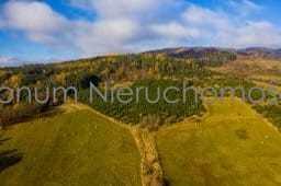 Na sprzedaż 13 działek budowlanych Wilcza