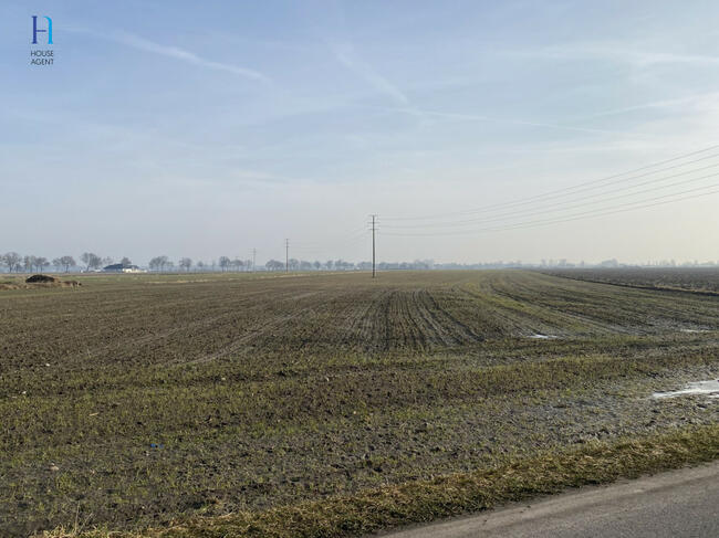 Działka rolna Uniejów, Polna