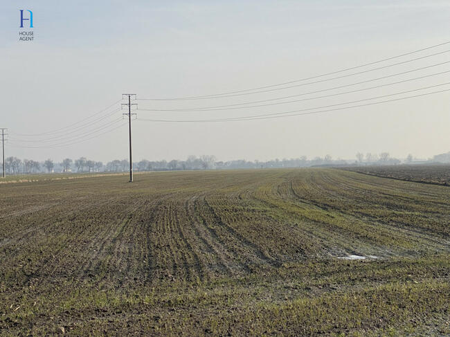 Działka rolna Uniejów, Polna