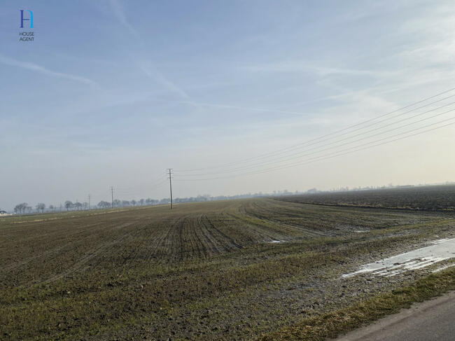 Działka rolna Uniejów, Polna