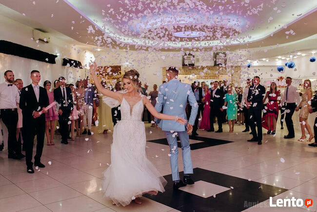 Akordeonista na jubileusz, urodziny, wesele, dj wodzirej