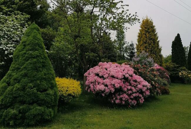 DOM W STYLU KLASYCZNYM