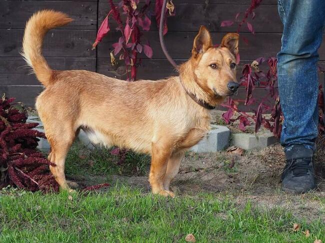 REBUS proludzki młodziak marzy o domku gdzie zazna szczęścia