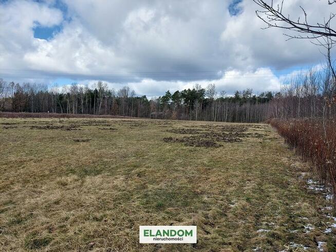 Działka rolna blisko drogi asfaltowej