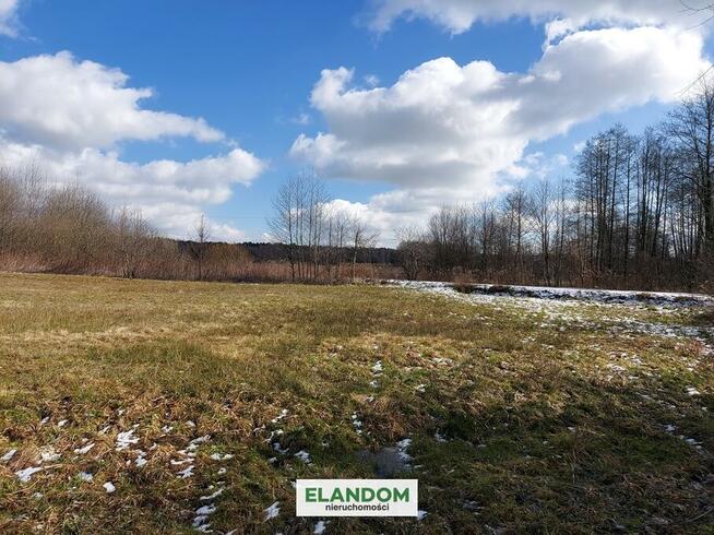 Działka rolna blisko drogi asfaltowej