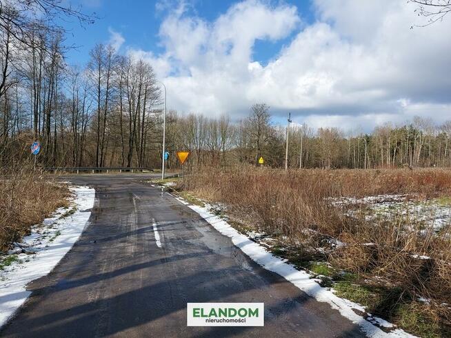 Działka rolna blisko drogi asfaltowej