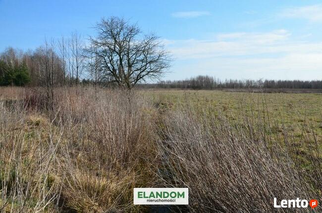 Cisza, blisko natury, piękny widok!