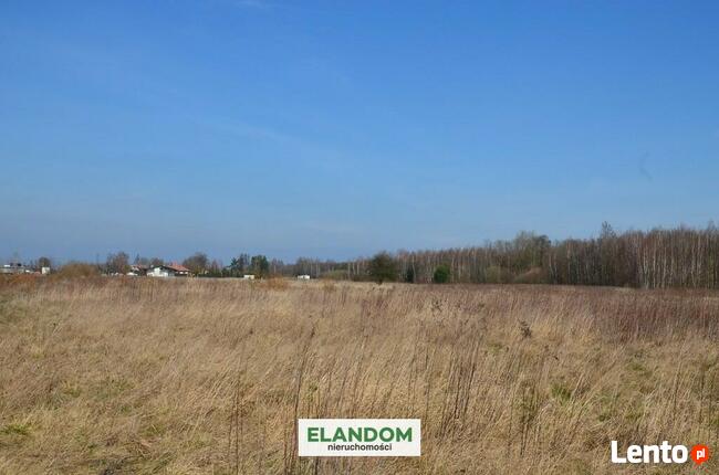 Cisza, blisko natury, piękny widok!