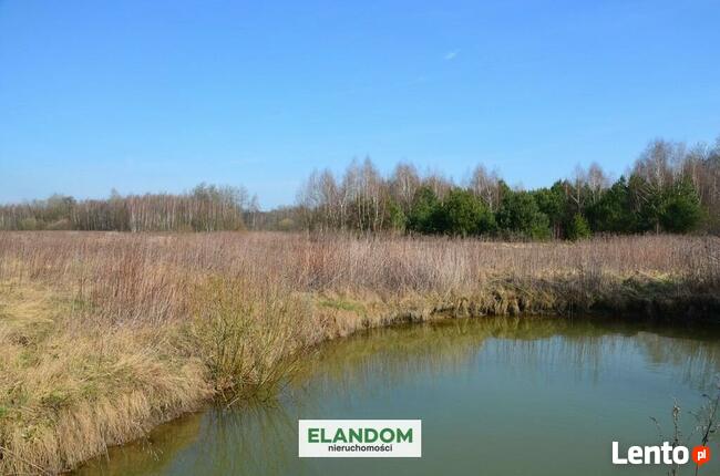 Cisza, blisko natury, piękny widok!