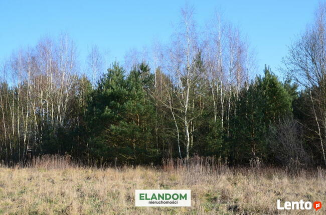 Cisza, blisko natury, piękny widok!