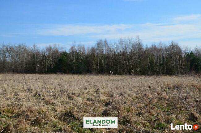 3124 m2 cicha i spokojna okolica, las