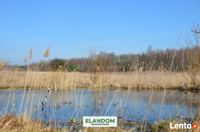 3124 m2 cicha i spokojna okolica, las