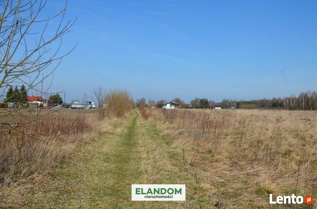 3124 m2 cicha i spokojna okolica, las