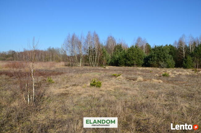3 działki w sielskiej okolicy cisza i spokój