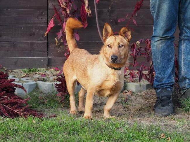 REBUS proludzki młodziak marzy o domku gdzie zazna szczęścia