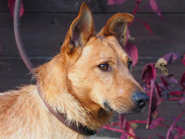 REBUS proludzki młodziak marzy o domku gdzie zazna szczęścia