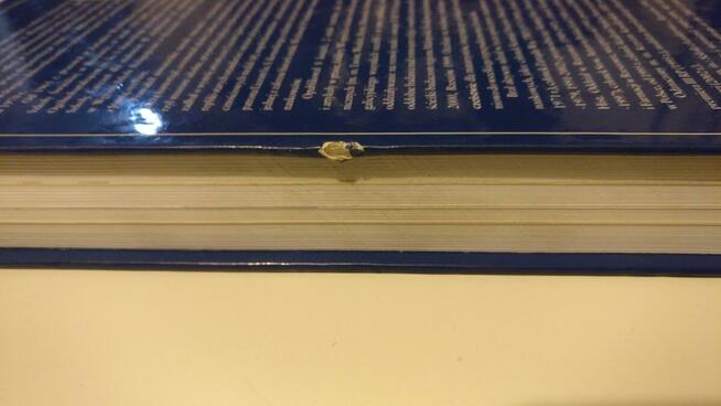 Józef Świeboda - Banki w Rzeszowie od XVII do XX wieku