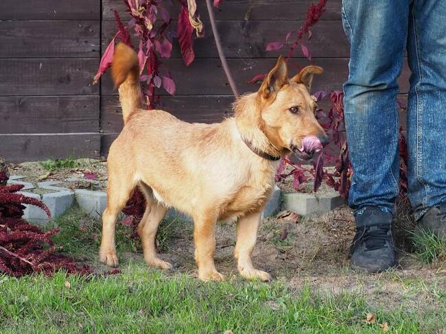 REBUS proludzki młodziak marzy o domku gdzie zazna szczęścia