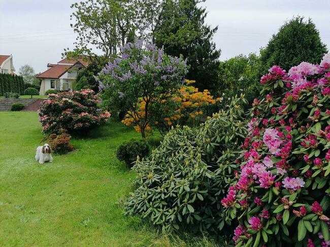 DOM W STYLU KLASYCZNYM