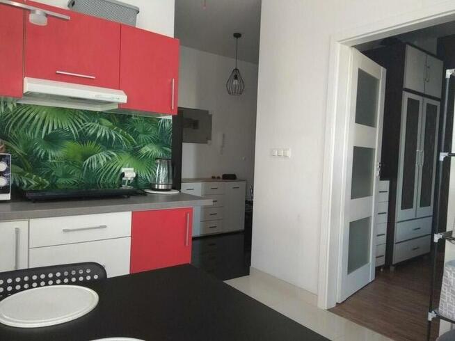 Wynajmę 2 pokoje 35m