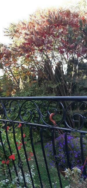 *DOM - Z GRUNTEM LUB BEZ