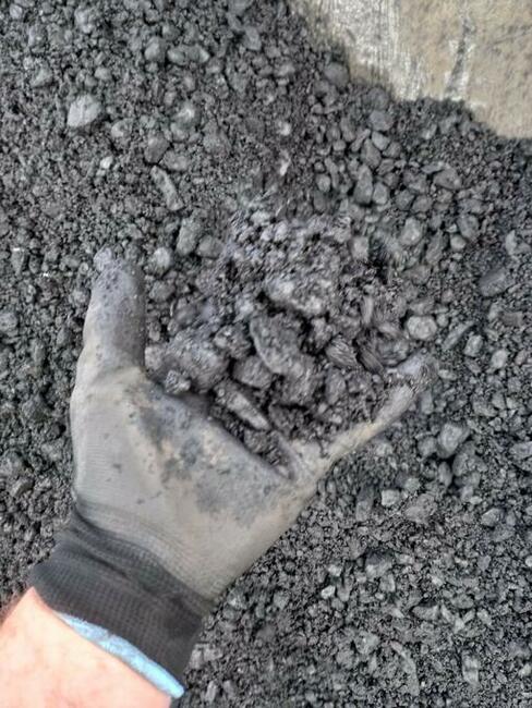 Węgiel Groszek Orzech Kostka Miał