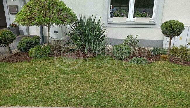 Usługi ogrodnicze !