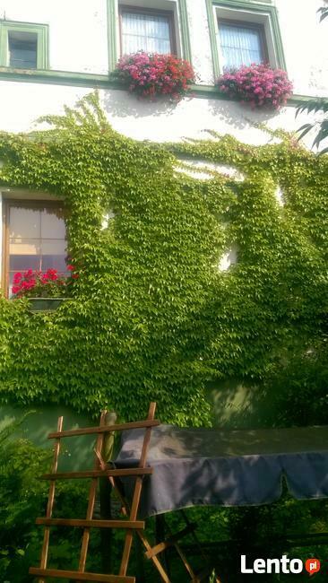 *DOM - Z GRUNTEM LUB BEZ