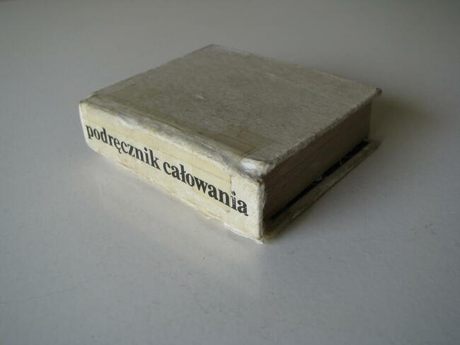 Podręcznik całowania Julian Ejsmond