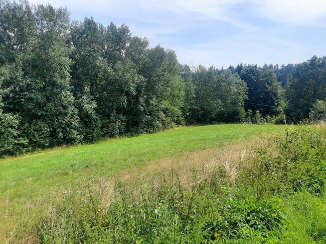 Sprzedam piękne działki rolno-budowlane