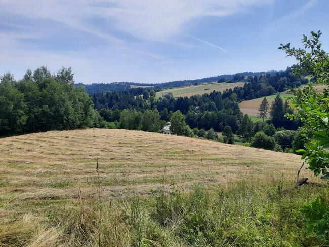 Sprzedam piękne działki rolno-budowlane