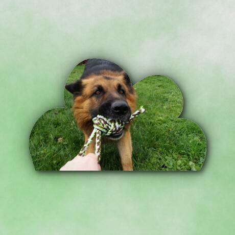 Poduszka chmurka z oryginalnym nadrukiem Idealna na prezent