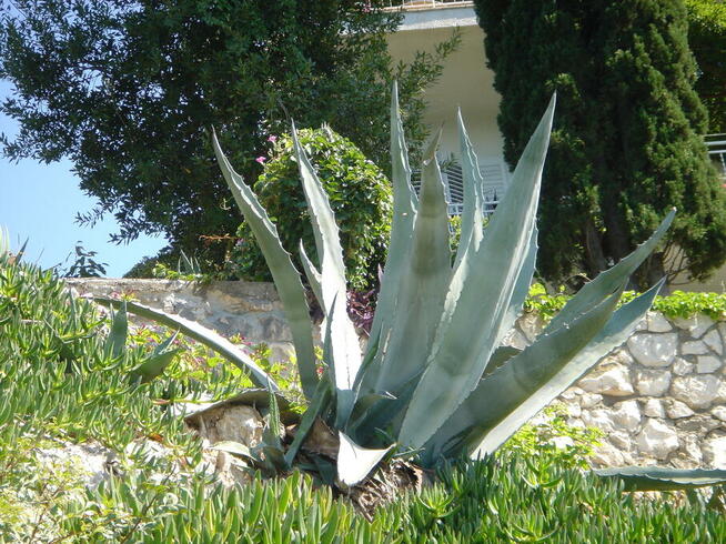 Chorwacja - dom z fantastycznym widokiem na otwarte morze ️