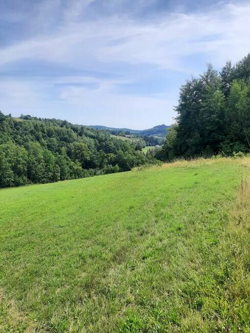 Sprzedam piękne działki rolno-budowlane