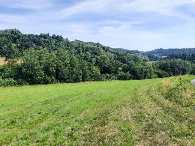 Sprzedam piękne działki rolno-budowlane