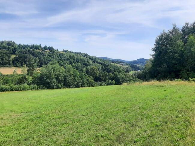 Sprzedam piękne działki rolno-budowlane