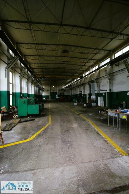 Lokal użytkowy Bydgoszcz