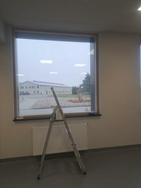 Solidnie sprzątanie i pranie dywanów