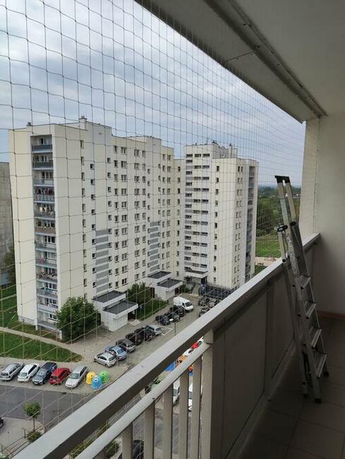 Siatka 3mx4m na balkon, okno dla kota/na ptaki