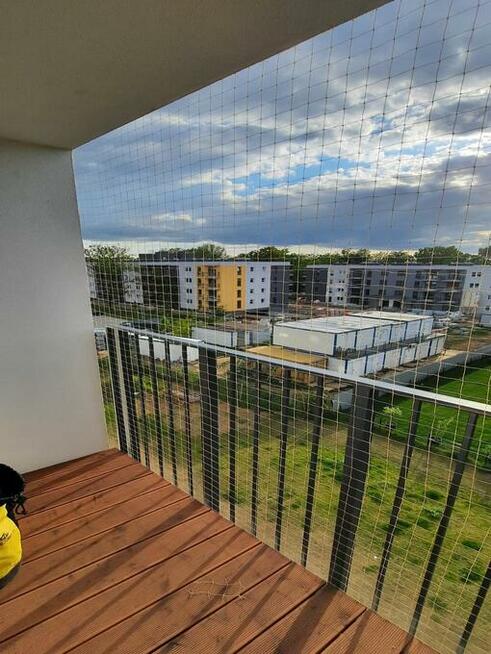 Siatka na balkon dla kota/na gołębie 3x3mZestaw do wiercenia