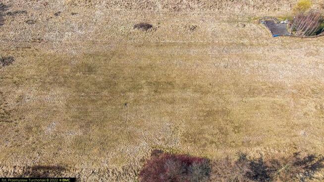 Działka budowlana Starcza, Szkolna