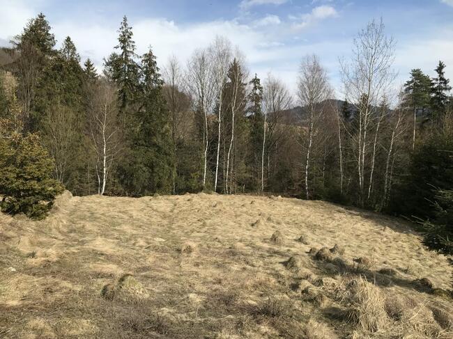 Dziewiczy teren budowlany Pewel Wielka gm. Jeleśnia,