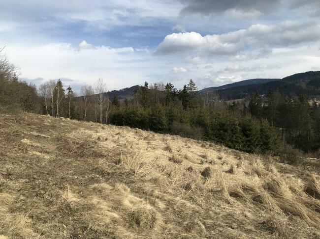 Dziewiczy teren budowlany Pewel Wielka gm. Jeleśnia,