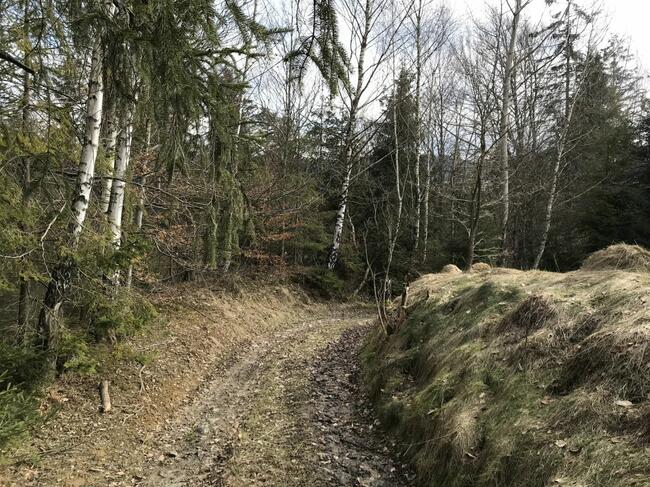 Dziewiczy teren budowlany Pewel Wielka gm. Jeleśnia,