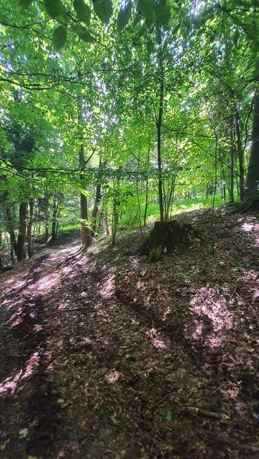 Działka rolna Pewel Wielka gm. Jeleśnia Buławka,