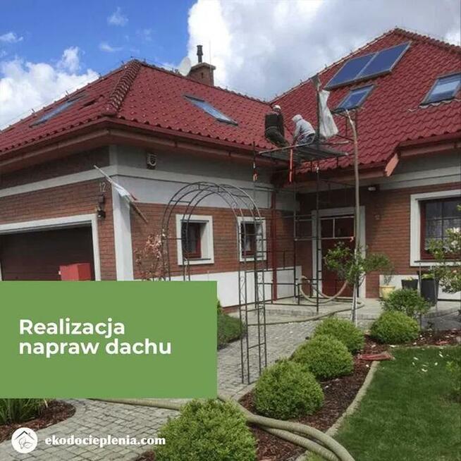 Naprawa dachu po kunie - Naprawa izolacji - Odstraszanie kun